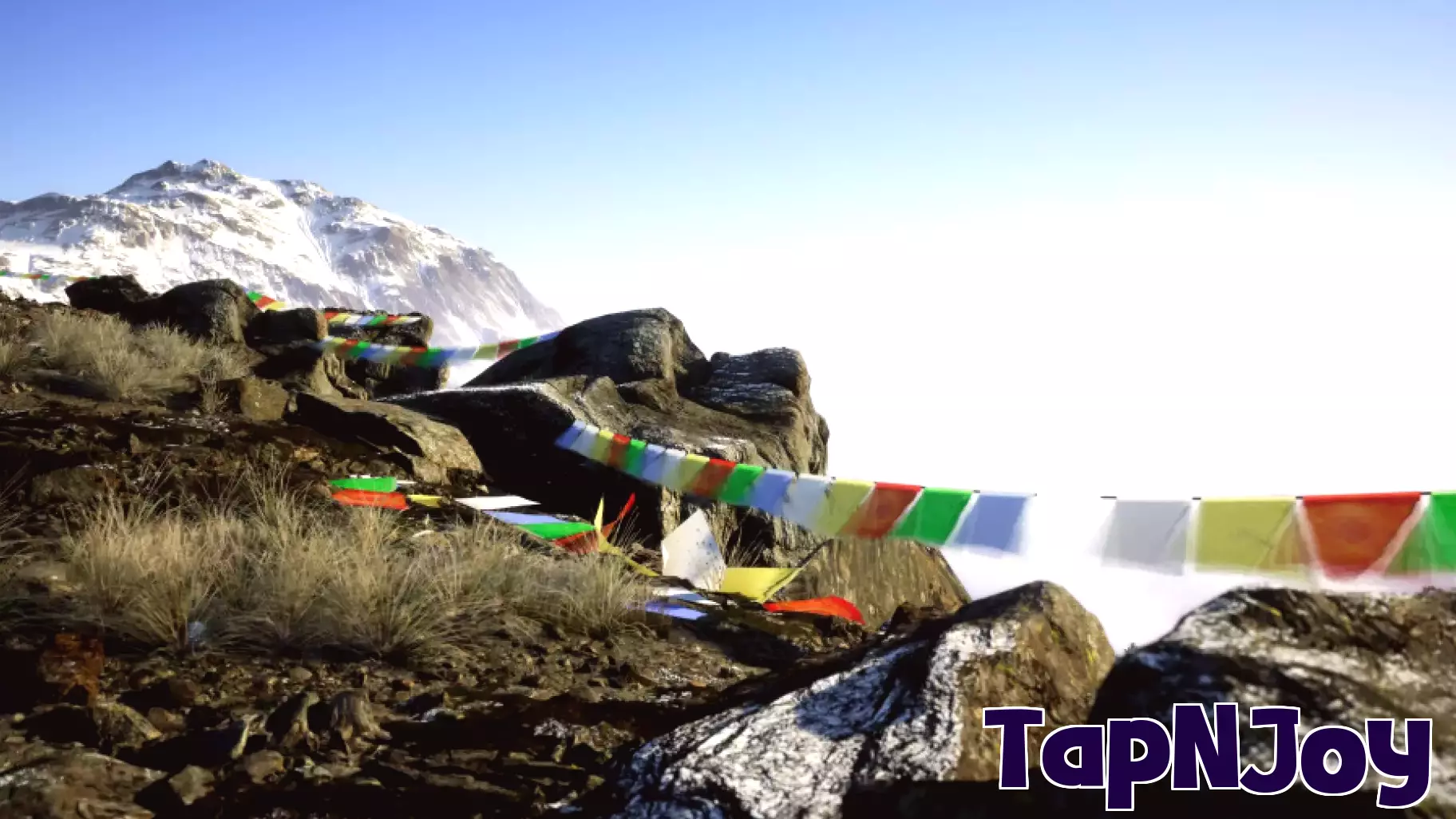 A Virtual Camera Becomes the Perfect Cure for Winter Cabin Fever