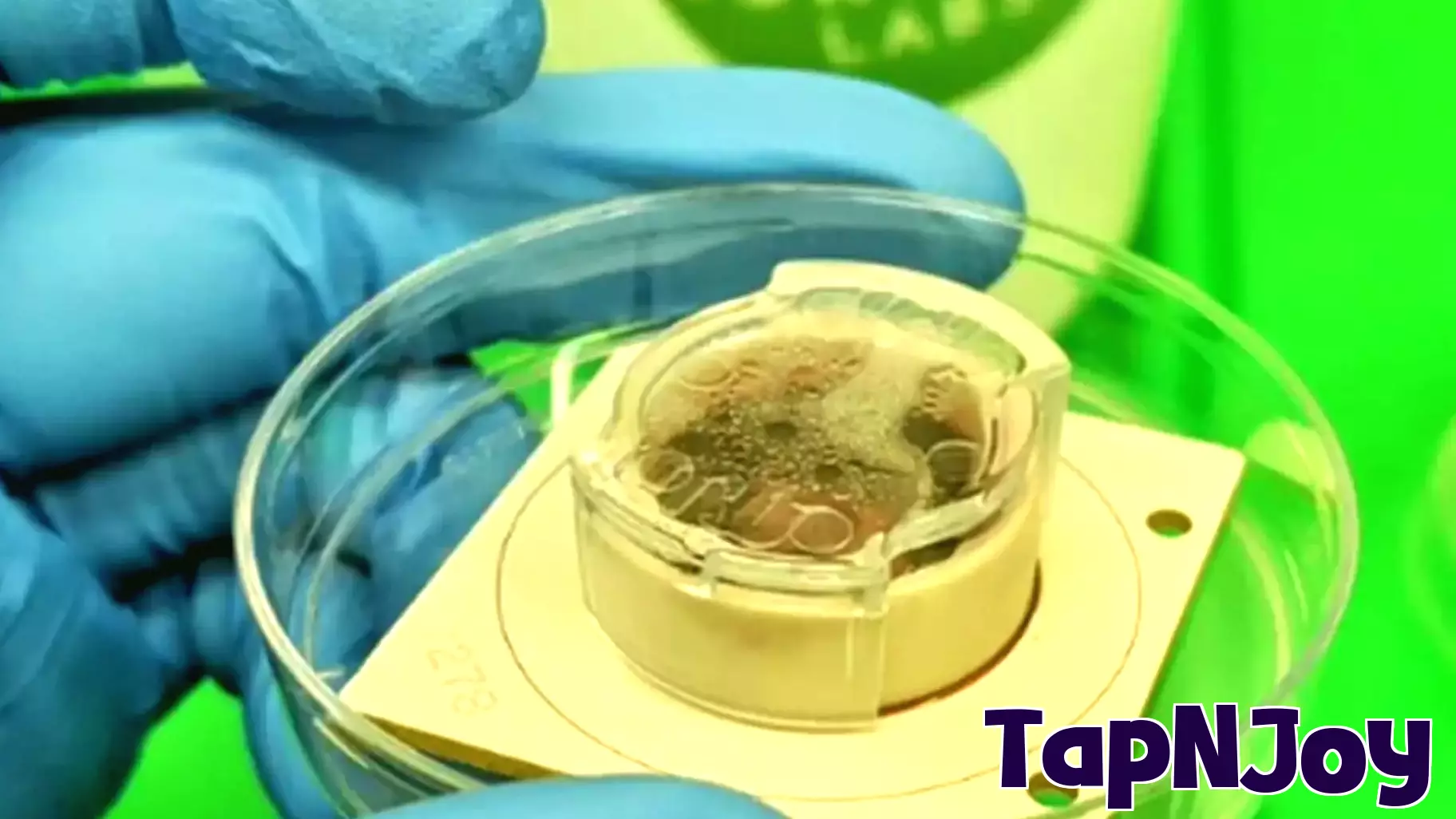 Scientists Teach Lab-Grown Brain Cells to Play Video Games