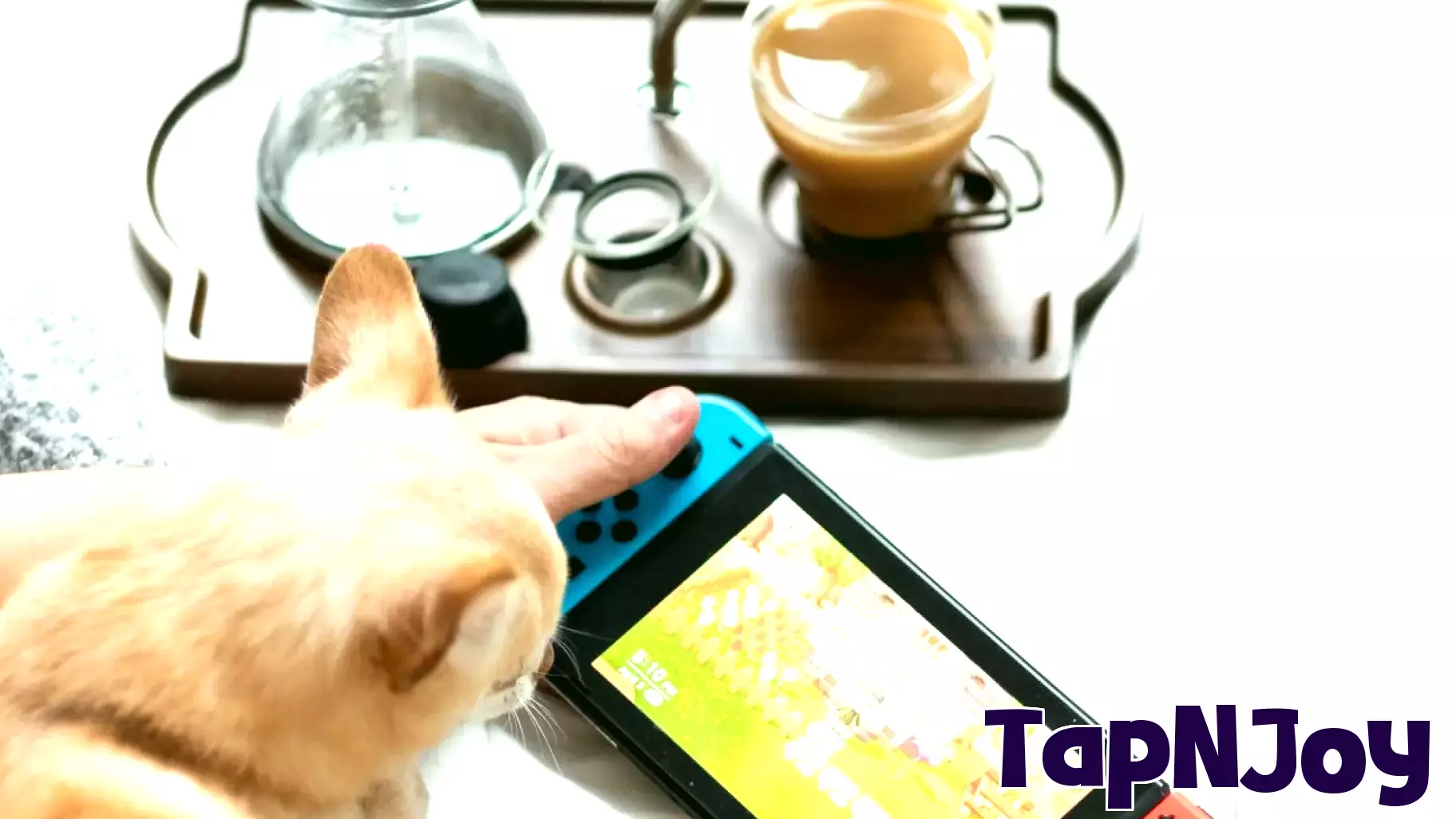 Video Games Emerge as a Powerful New Artistic Frontier