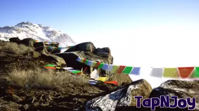 A Virtual Camera Becomes the Perfect Cure for Winter Cabin Fever