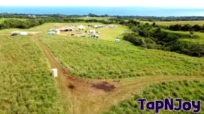 Co-founder of eGenesis video games buys another 21 acres on Big Island